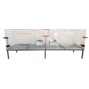 Cusca iepuri tineret 2 C / 160 cm 