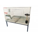 Cusca iepuri tineret/80 cm