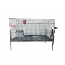 Cusca iepuri tineret (rasa uriasa) /100 cm