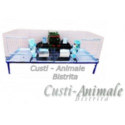 Cusca iepuri tineret ( rasa uriasa) /200 cm