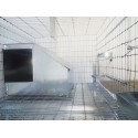 Cusca iepuri reproductie/80 cm