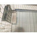 Cusca iepuri reproductie/80 cm