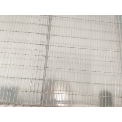 Cusca iepuri reproductie/80 cm